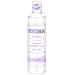 Lubricante Waterglide Sparkling - 300 Ml